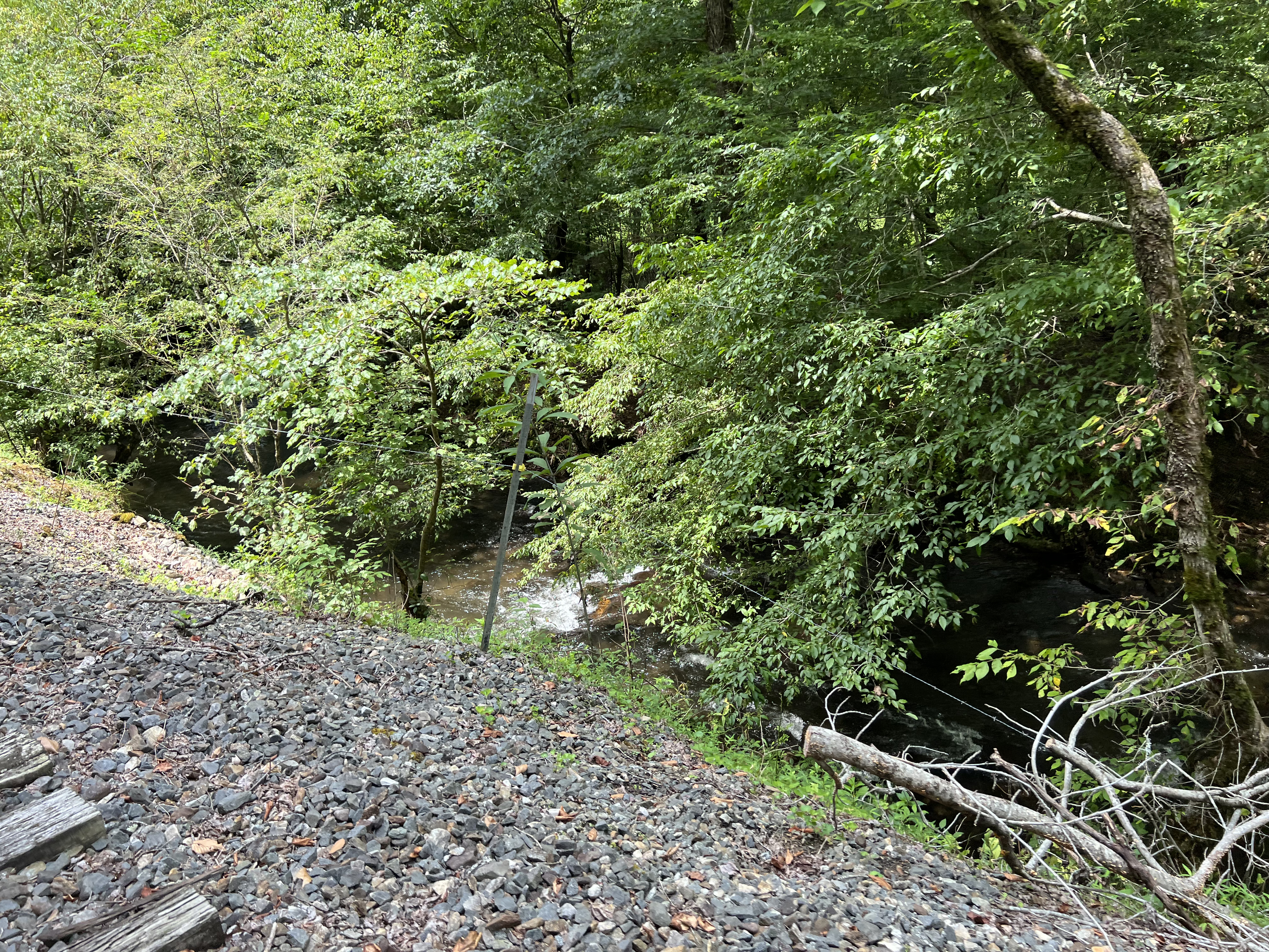 ./2023/11 - Asheville/IMG_9868.jpg